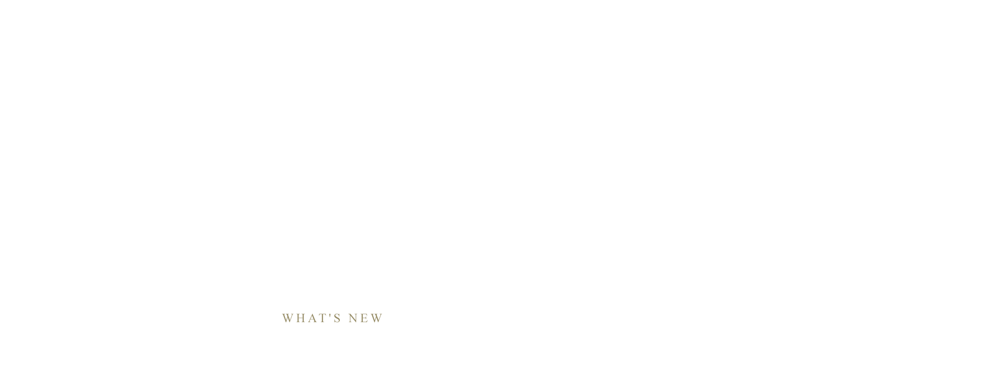 2019年木山川河川護岸工事